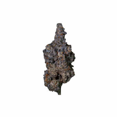 Gary Payton × Fishscale