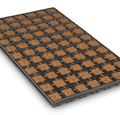 Eazy Plug®, Stecklingsblöcke, Tray à 77 St., 3,5 x 3,5 cm