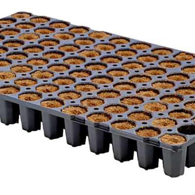 Eazy Plug CT104C, Stecklingsblöcke, Tray zu je 104 Blöcke