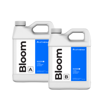 Athena Bloom A + B, je 946 ml