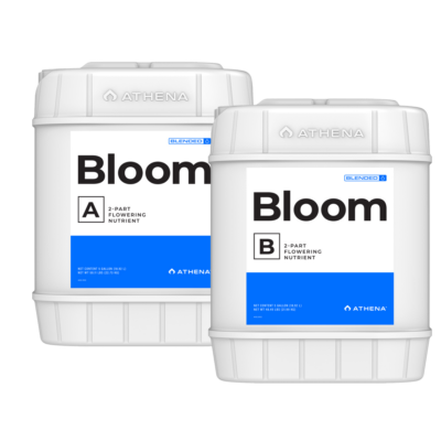ATHENA Bloom A + B, je 18,9 L