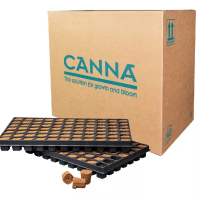 CANNA Rootplugs Pro, 1 Karton (10 Trays a 77 Pcs)