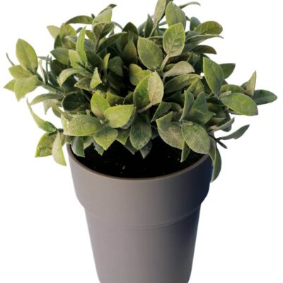 Buddies Flower Pot Safe