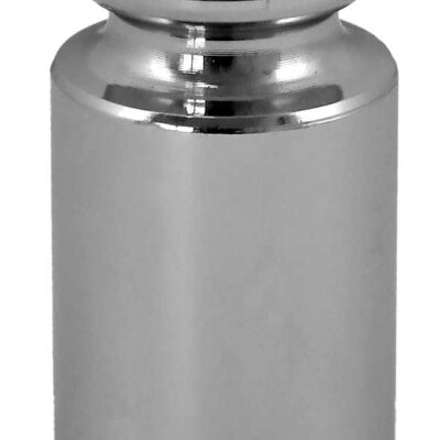100 g Calibration Weight