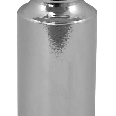 300 g Calibration Weight